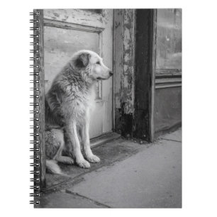 Carnet de porte Patiné Lonesome Dog