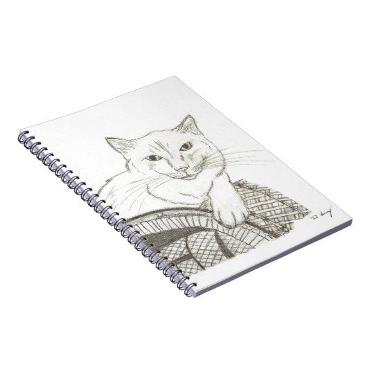 Carnet de portrait de Cat Ragdoll (Côté Droit)