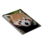 Carnet de portrait de Panda (Côté Droit)