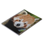 Carnet de portrait de Panda (Côté gauche)