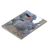 Carnet de poulet (Côté gauche)