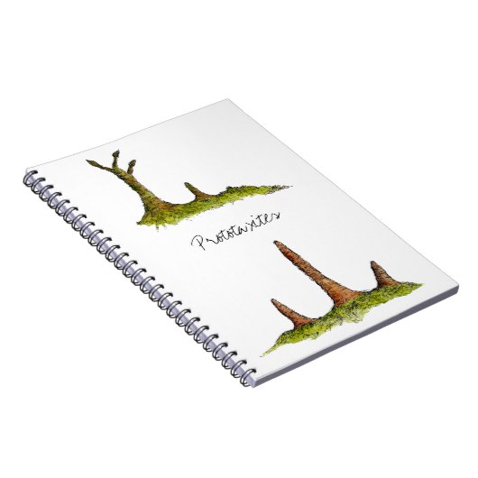 Carnet de Prototaxites (Côté Droit)