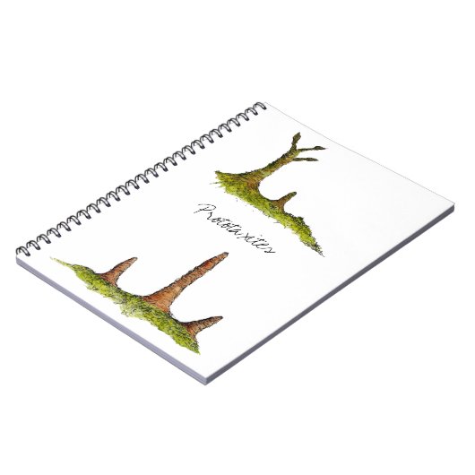 Carnet de Prototaxites (Côté gauche)