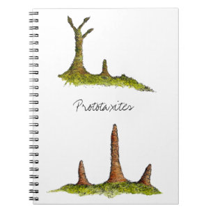Carnet de Prototaxites