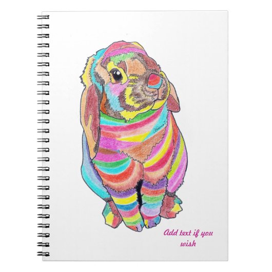 Carnet de Rainbowbunny (Devant)