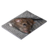 Carnet de rat (Côté gauche)