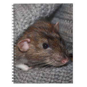 Carnet de rat