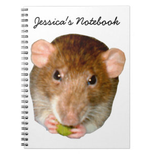 Carnet de rat affamé