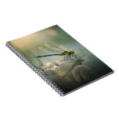 Carnet de réflexion du matin de la libellule (Côté Droit)