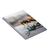 Carnet de réflexion sur les déchets (Côté Droit)