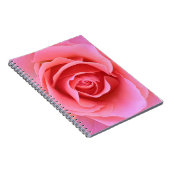 Carnet de rose de rose (Côté Droit)