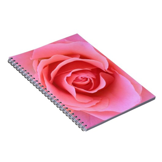 Carnet de rose de rose (Côté Droit)