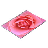 Carnet de rose de rose (Côté gauche)