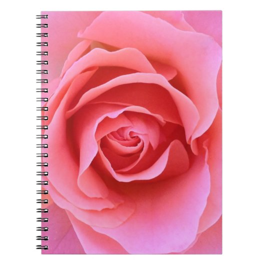 Carnet de rose de rose (Devant)