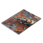 Carnet de rouille du scarabée tacheté (Côté gauche)