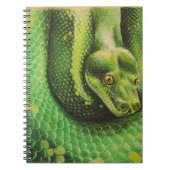 Carnet de serpent (Devant)