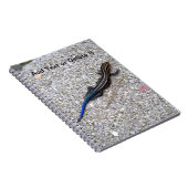 Carnet de Skink coupé la queue par bleu (Côté Droit)