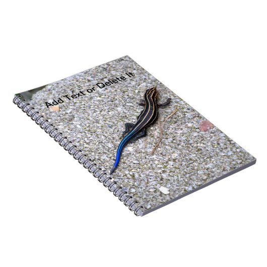 Carnet de Skink coupé la queue par bleu (Côté Droit)