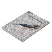 Carnet de Skink coupé la queue par bleu (Côté gauche)