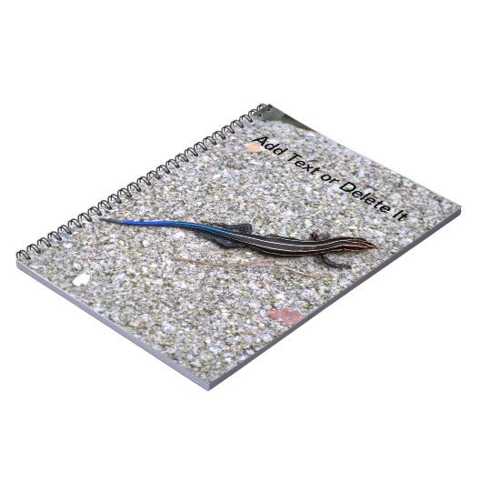 Carnet de Skink coupé la queue par bleu (Côté gauche)