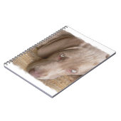Carnet de sommeil Weimaraner (Côté gauche)