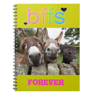 Carnet de sourire des ânes de BFF