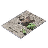 Carnet de souris (Côté gauche)