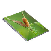 Carnet de souris de récolte (Côté Droit)