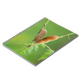Carnet de souris de récolte (Côté gauche)