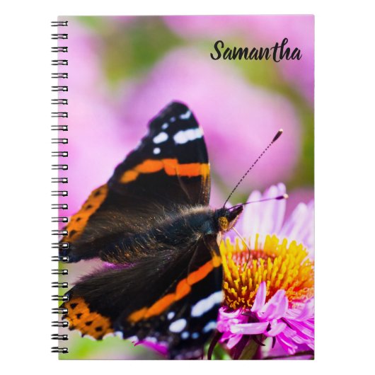 Carnet de spirale à papillon de l'amiral rouge (Devant)
