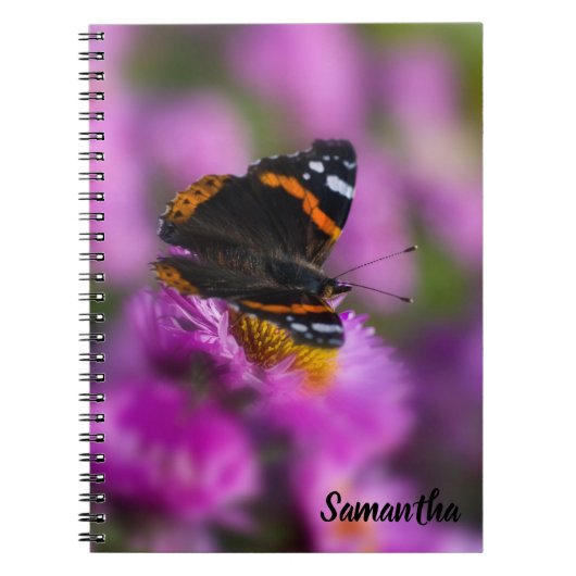 Carnet de spirale à papillon de l'amiral rouge (Devant)