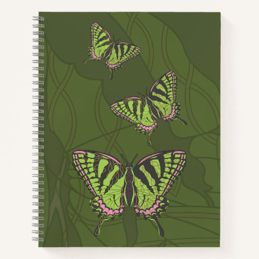 Carnet de spirale céleste (Devant)