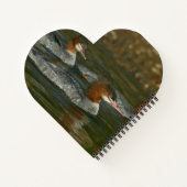 Carnet de spirale Merganser (Dos)