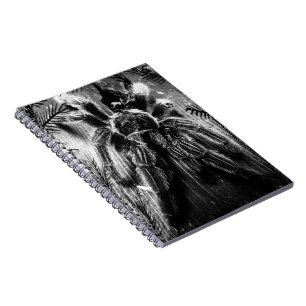Carnet de tarentule