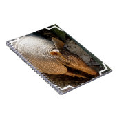 Carnet de tatou (Côté Droit)