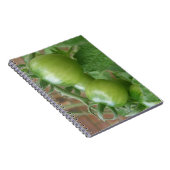 Carnet de tomates vertes (Côté Droit)