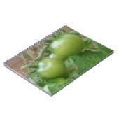Carnet de tomates vertes (Côté gauche)
