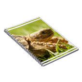 Carnet de tortue (Côté Droit)