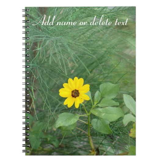 Carnet de tournesol de plage jaune (Devant)