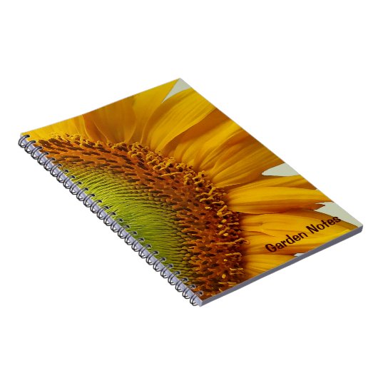Carnet de tournesol géant (Côté Droit)