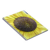 Carnet de tournesol jaune (Côté Droit)