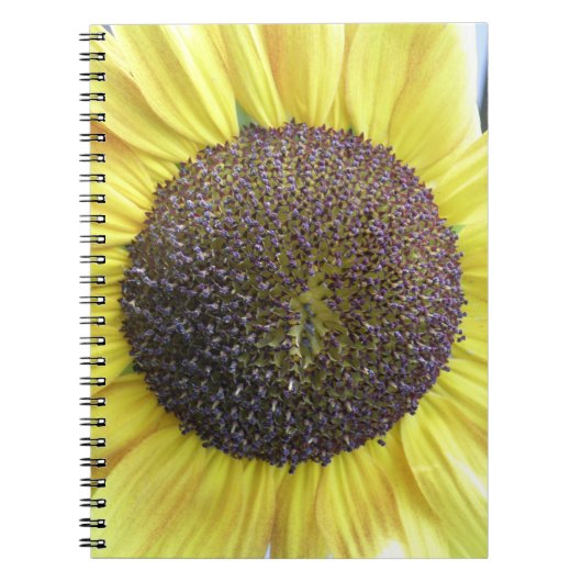 Carnet de tournesol jaune (Devant)