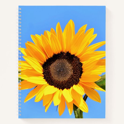 Carnet de tournesol jaune (Devant)