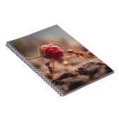 Carnet de travail d'équipe pour Ants Raspberry (Côté Droit)