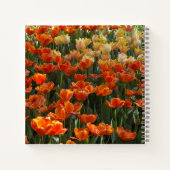 Carnet de tulipes (Dos)