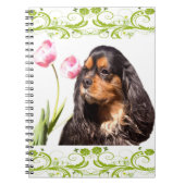 Carnet de Tulipes Spaniel Cavalier King Charles (Devant)