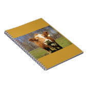 Carnet de vache (Côté Droit)