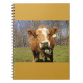 Carnet de vache (Devant)