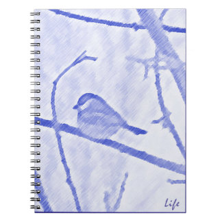 Carnet de vie de chickadee