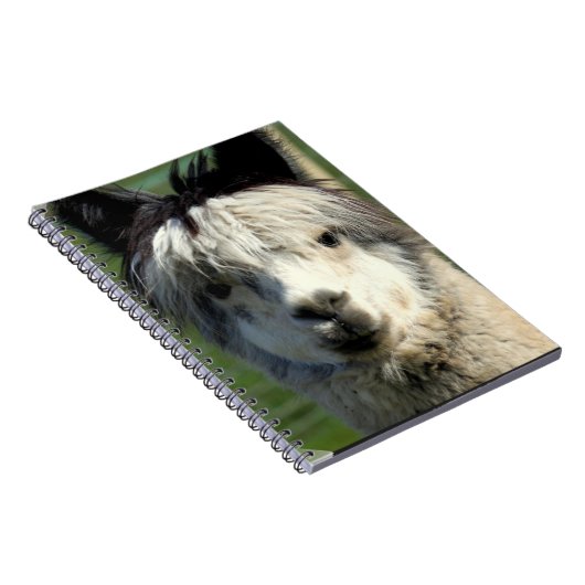 Carnet de visage de lama (Côté Droit)